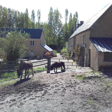 הוילה Vaux-sur-Seulles Gite Du Jardin Des Sources מראה חיצוני תמונה